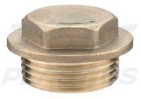 3/4" Brass Flanged Plug