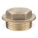 3/4" Brass Flanged Plug