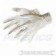 Latex Gloves Pack 100 (large)